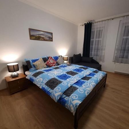 Apartman V Krusnych Horach-Free Parking Jáchymov Eksteriør billede