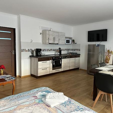 Apartman V Krusnych Horach-Free Parking Jáchymov Eksteriør billede