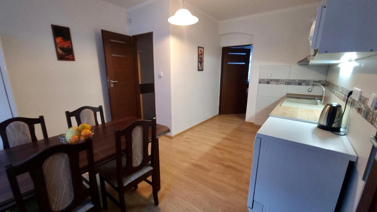 Apartman V Krusnych Horach-Free Parking Jáchymov Eksteriør billede